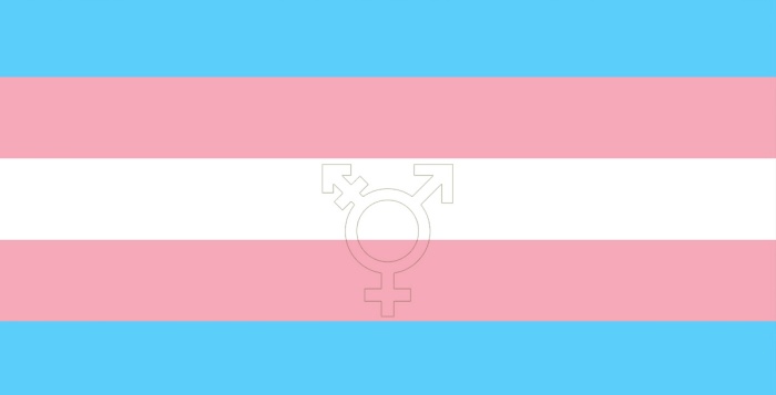 Supporting transgender / gender variant people