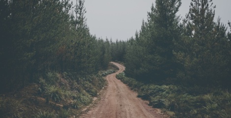 The long and winding road