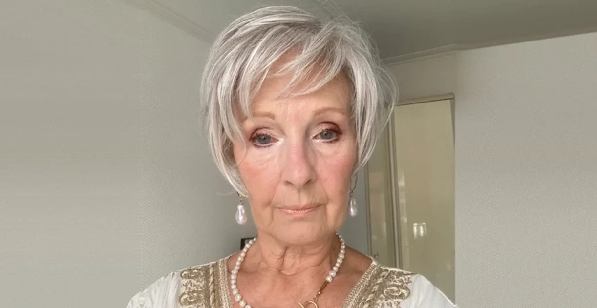 Ready for Take Off wig by Raquel Welch in a grey shade