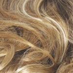 Ginger-blonde-Shadow-Shade