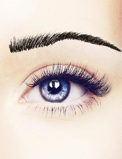 False Eyebrow Dark Sophia Brow 