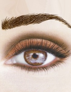 False Eyebrow Paris Brow Brown